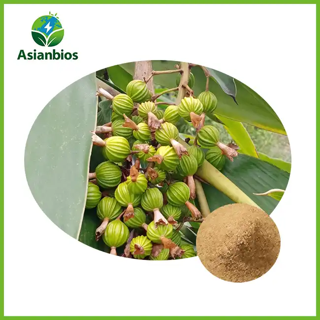 Amomum Seed Powder